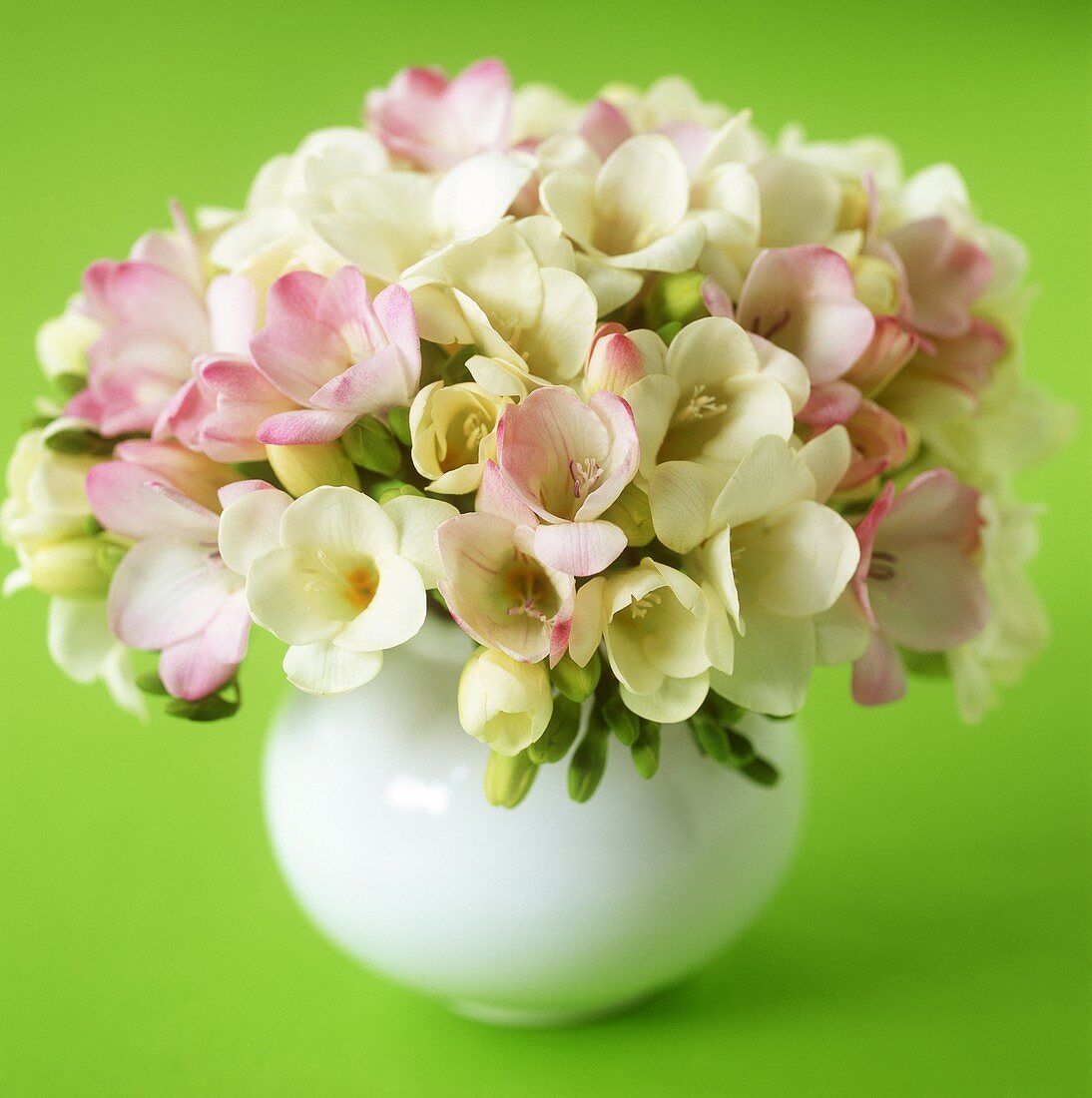 White and pastel-coloured freesias in a spherical vase