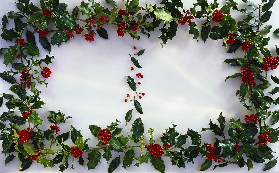 Holly with red berries as decoration