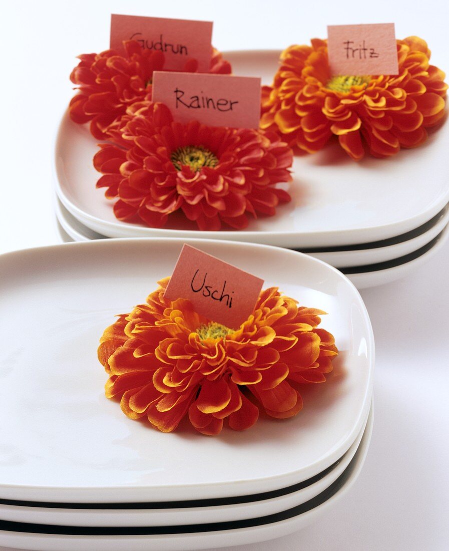 Blumen mit Namensschildern auf Tellern