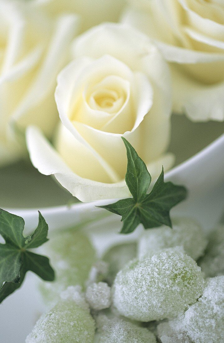 weiße Rosenblüten in einer Schale