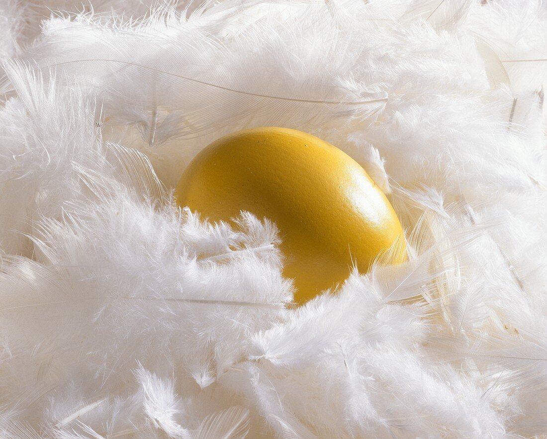 Gelb gefärbtes Ei zwischen weissen Federn