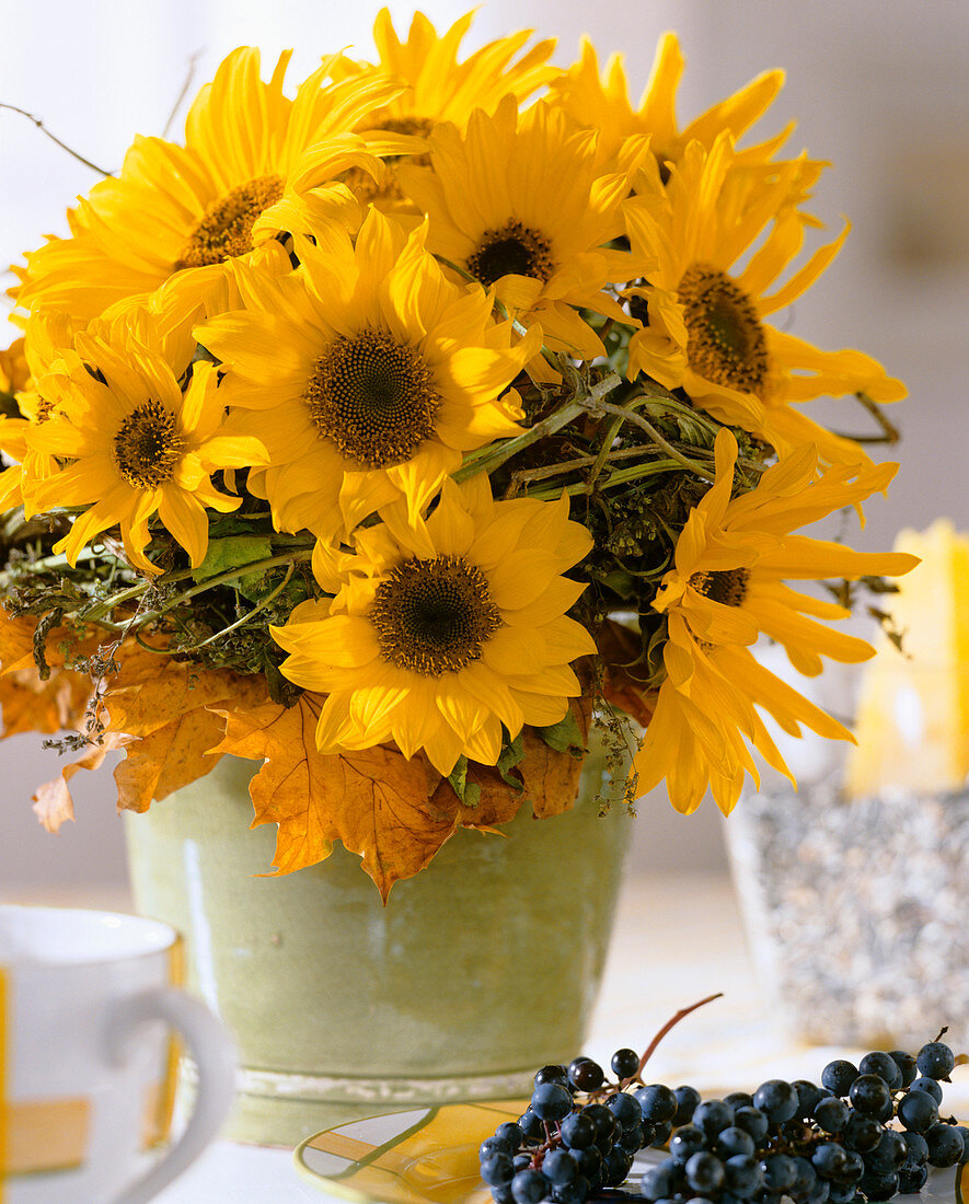 Arrangement of sunflowers