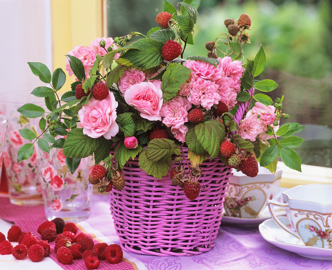 Raspberries, roses ('Bonica' and 'The Fairy') in pink basket
