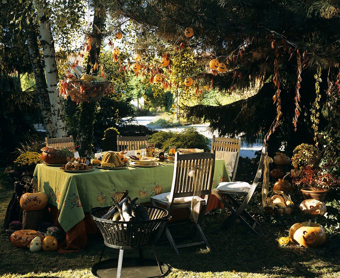 Laid table with autumn theme in open air