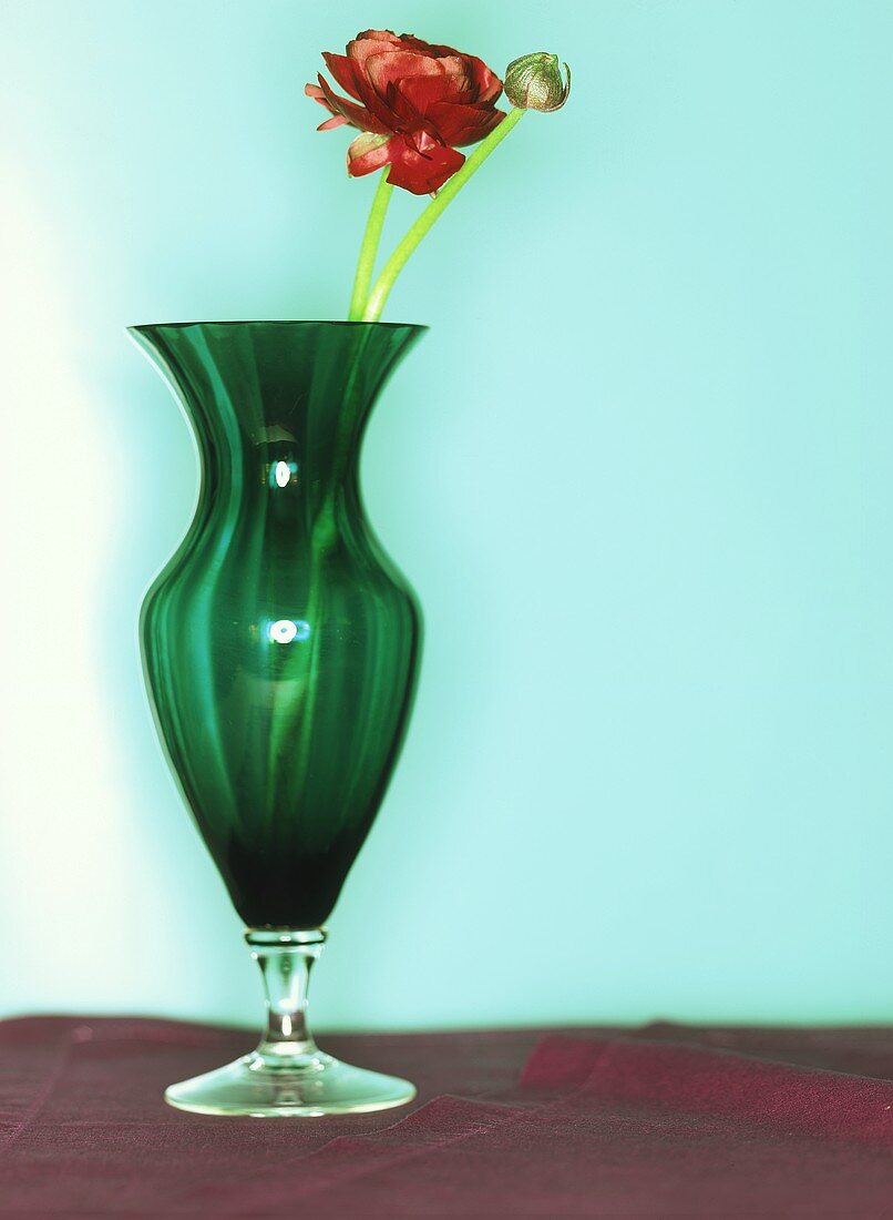 Rote Ranunkel in einer grünen Vase