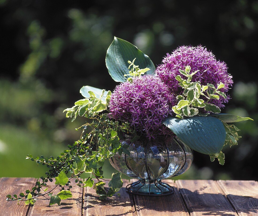 Two Allium flowers, hosta leaves and ivy in a glass vase