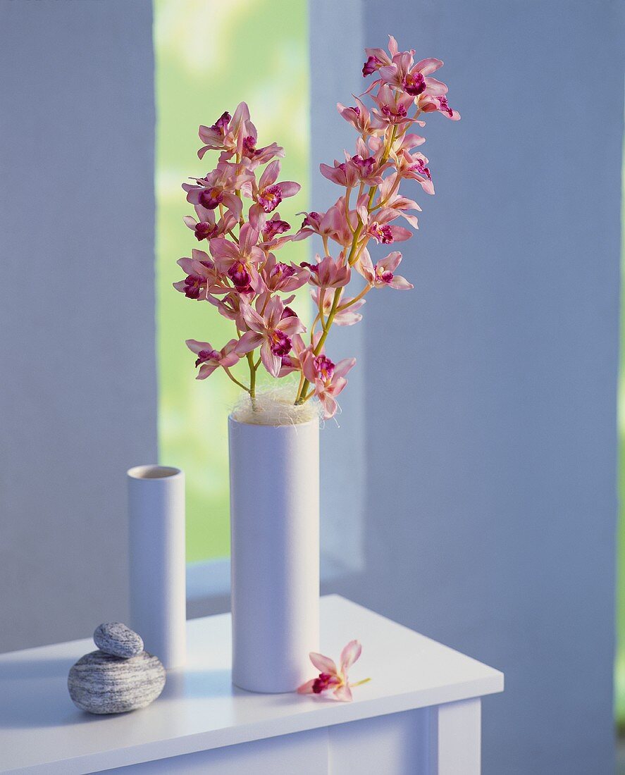Orchideenrispen mit vielen Blüten in der Vase