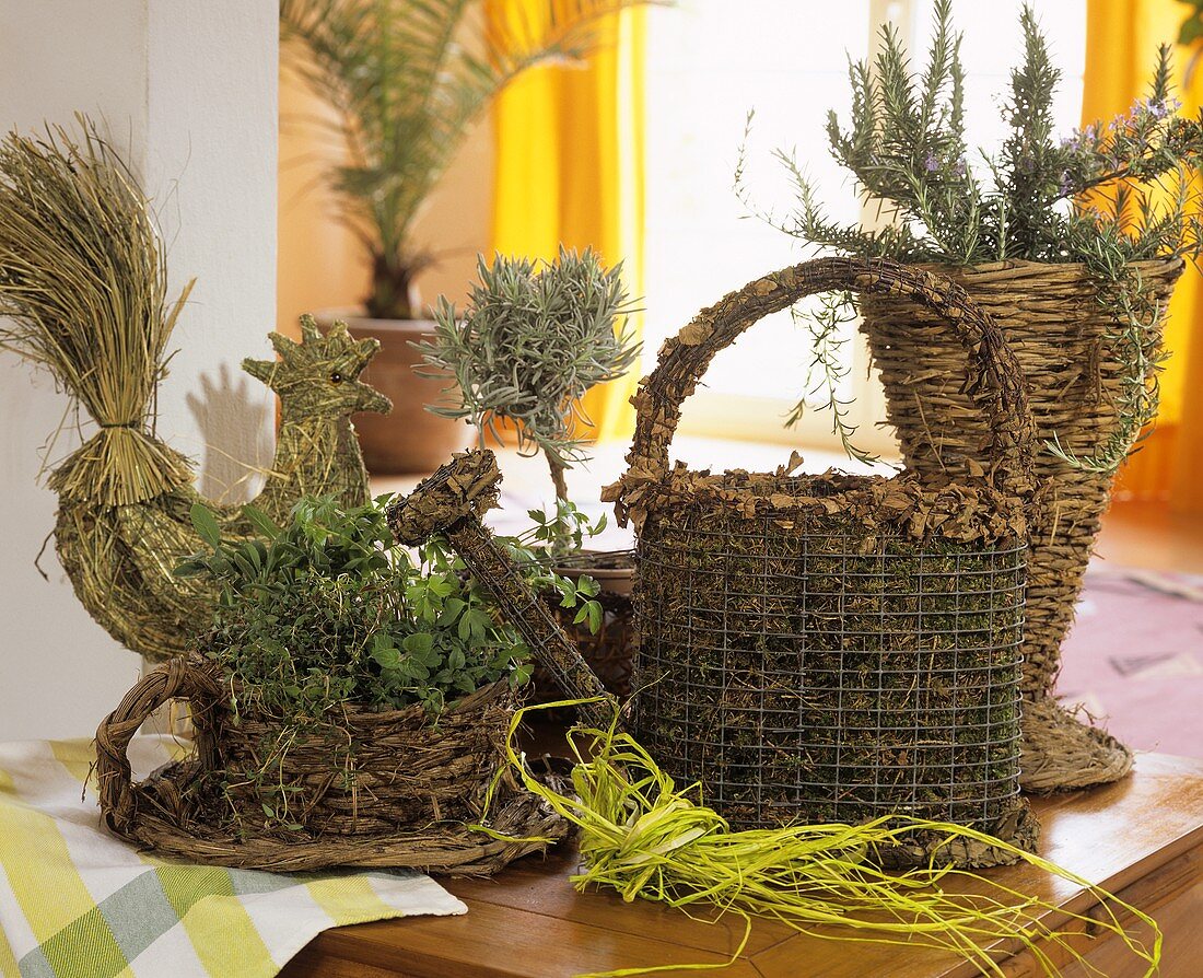 Baskets planted with herbs in room