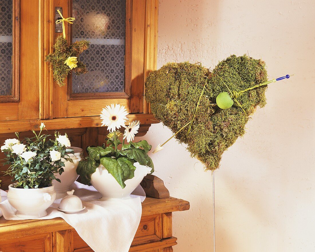 White rose in pot & Gerbera on sideboard, moss heart with arrow
