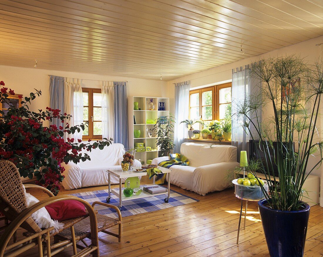 Scandinavian country house style living room enlivened with papyrus, bougainvillea and mimosa plants