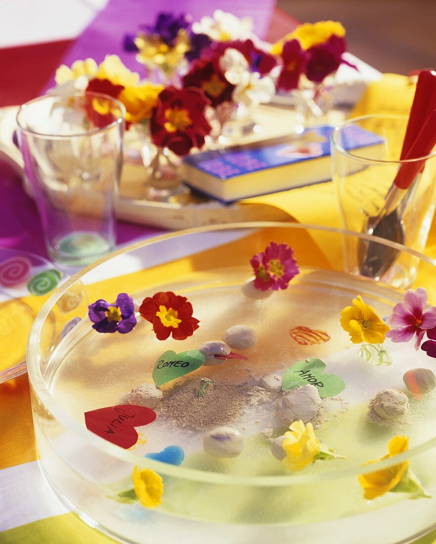 Colourful table decoration with primulas, for children