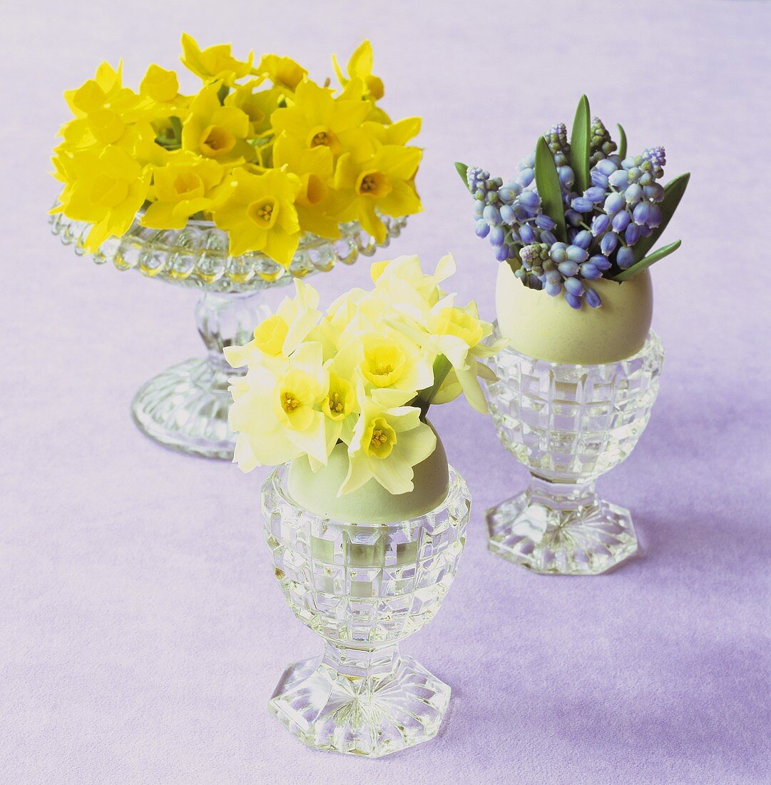 Narcissi and hyacinths in eggshells and eggcups