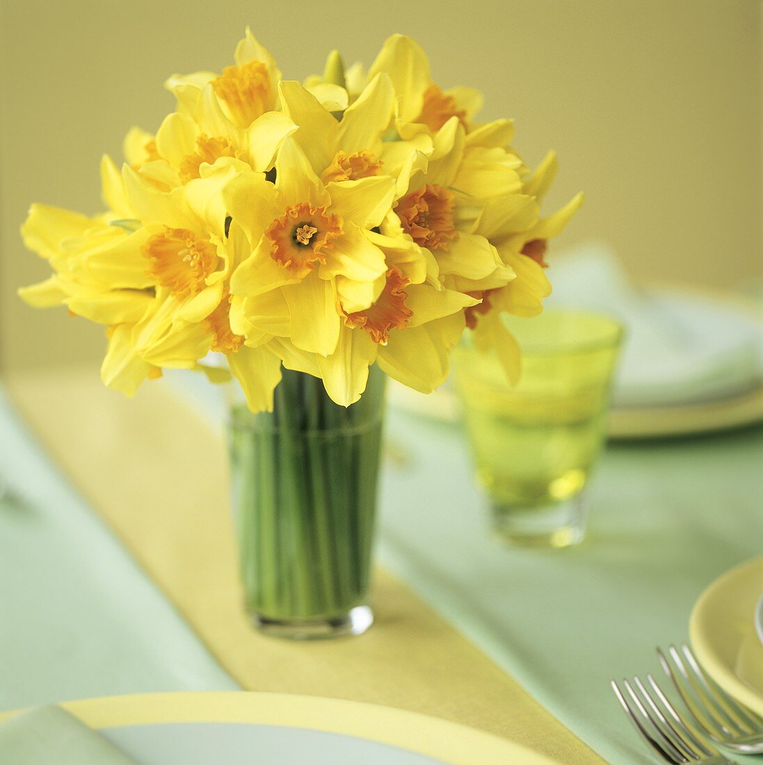 A bouquet of yellow daffodils