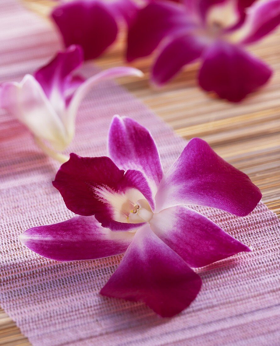 Essbare Orchideenblüten (Karma)