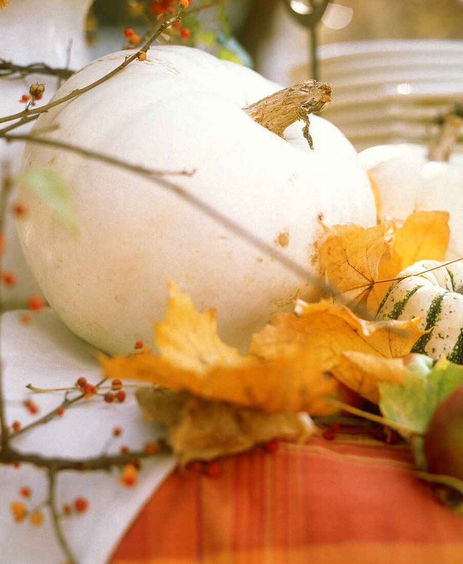 White pumpkin head with autumn leaves