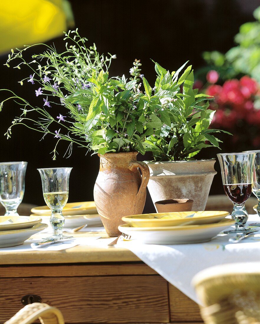 Herb flowers in clay pots on buffet table