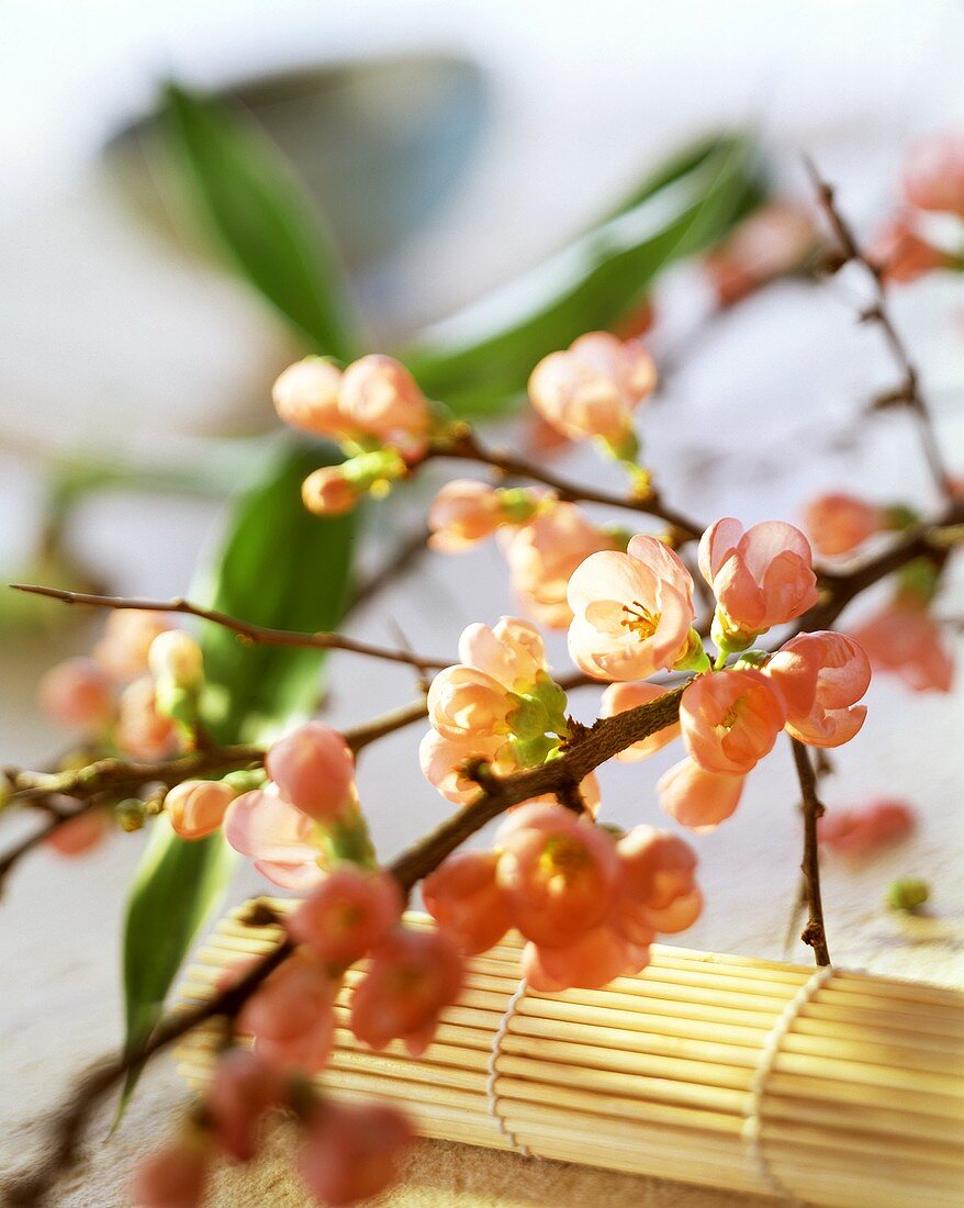 Asiatische Tischdeko: Kirschblütenzweige und Bambusmatte