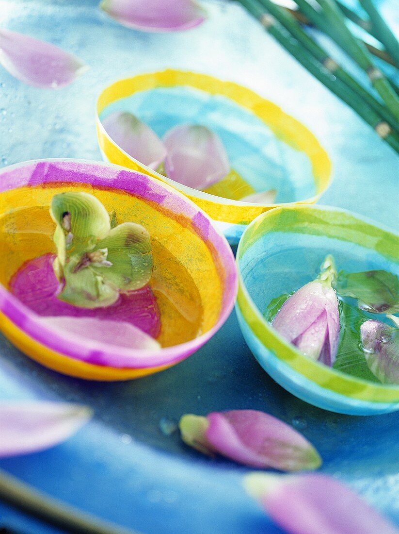 Exotic flowers in bowls of water