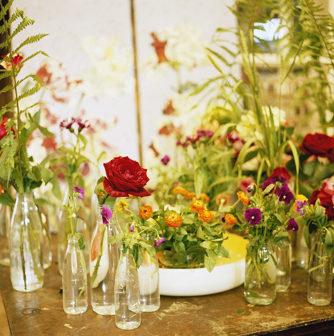 An assortment of flowers in glass bottles