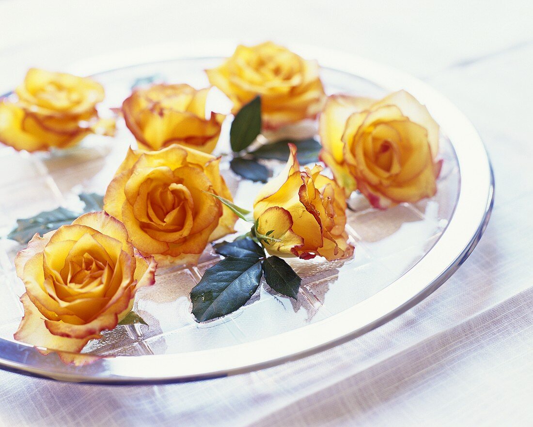 Gelbe Rosen auf Glasteller