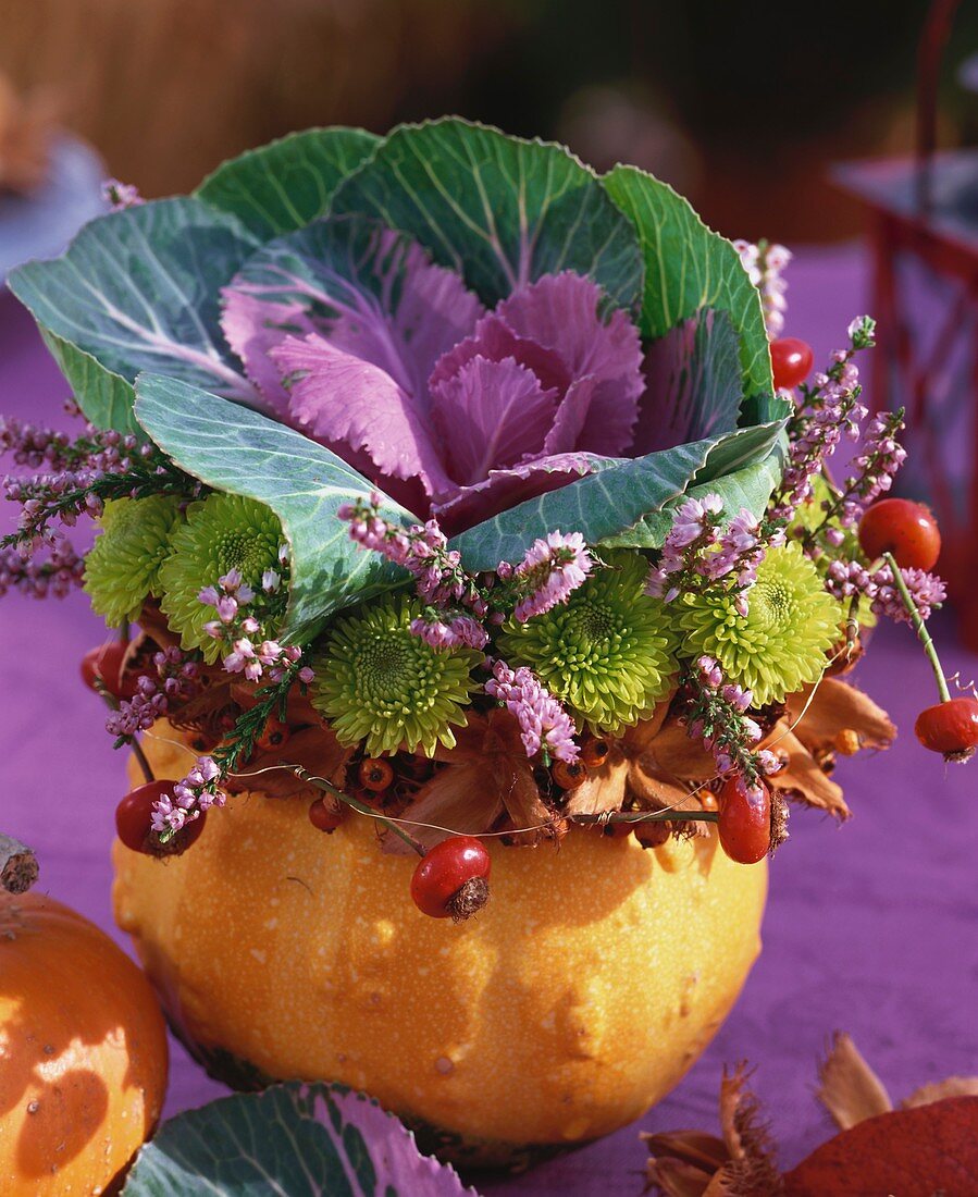 Autumn arrangement with ornamental cabbage in a pumpkin