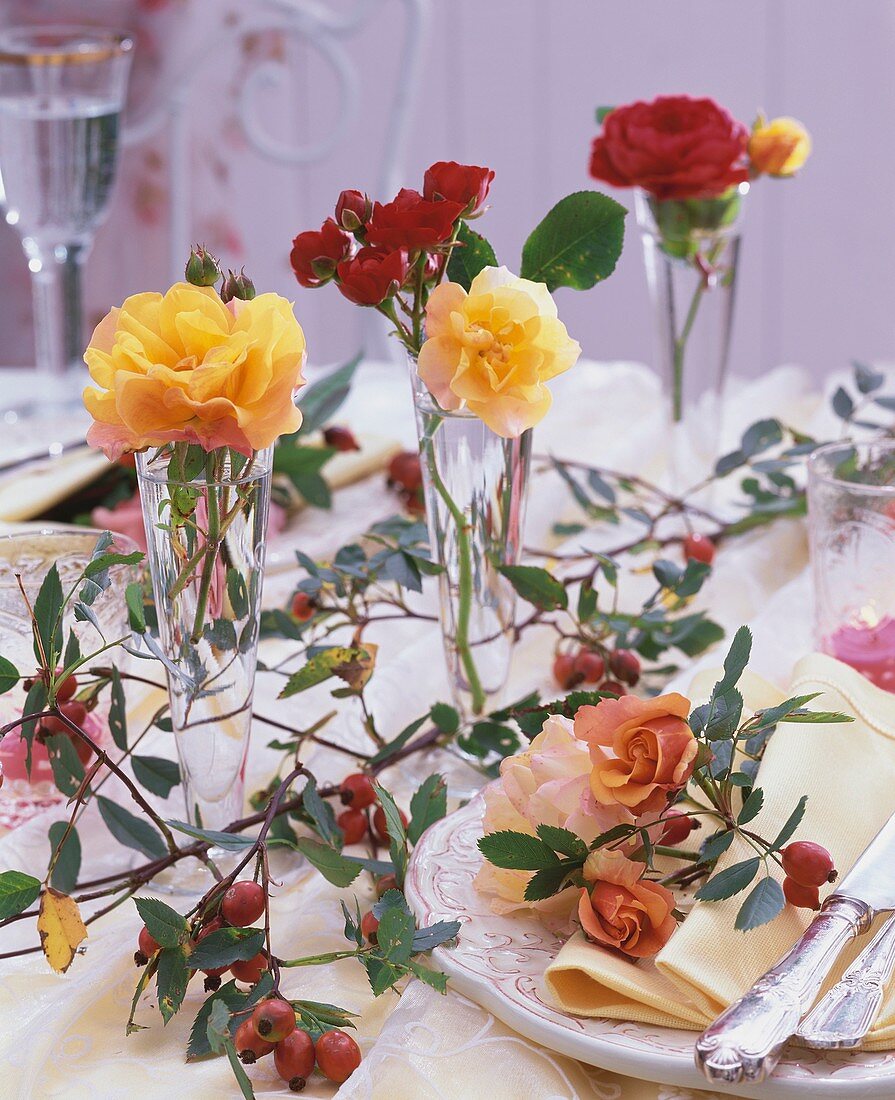 Rosen in hohen Glasvasen, Ranken mit Hagebutten (Tischdeko)