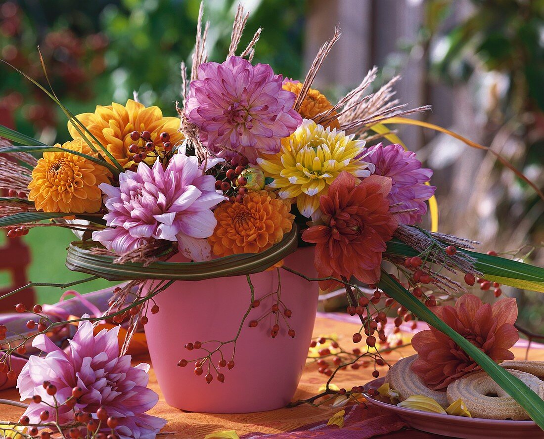 Dahlias, Chinese silvergrass and rose hips in pink vase