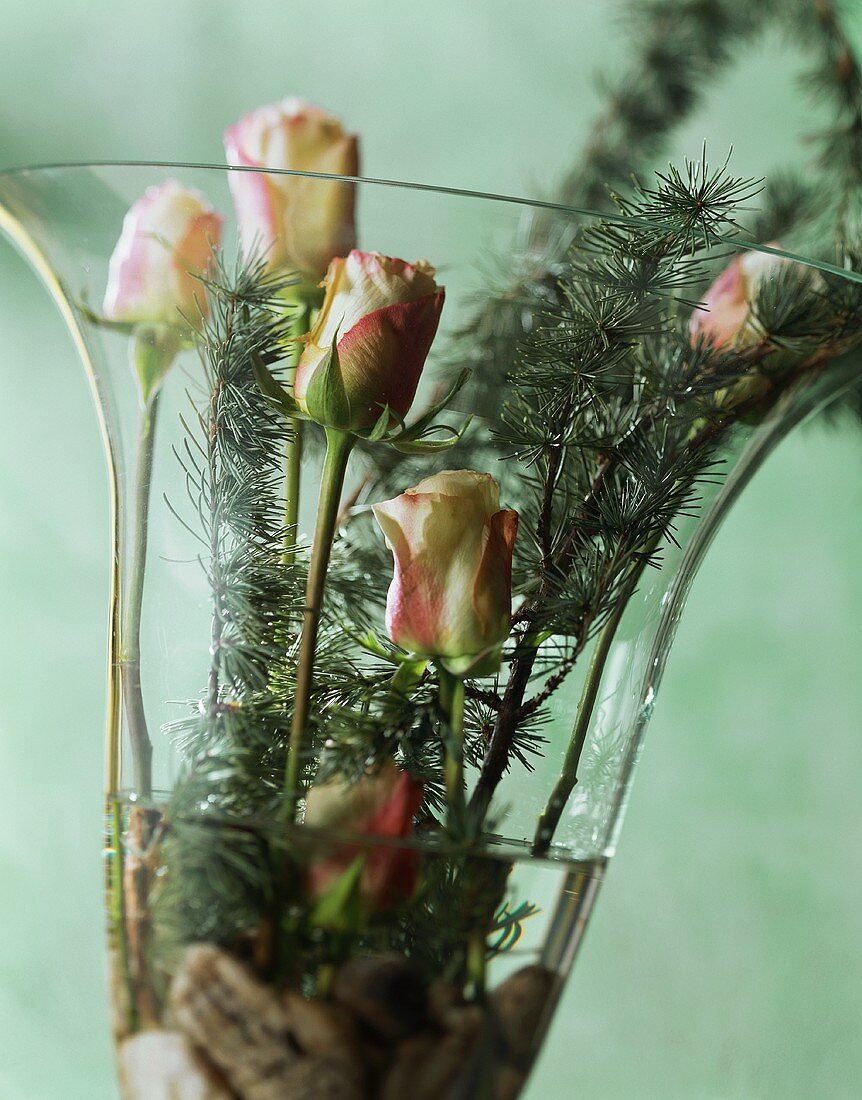 Rosen und Tannenzweige in Vase