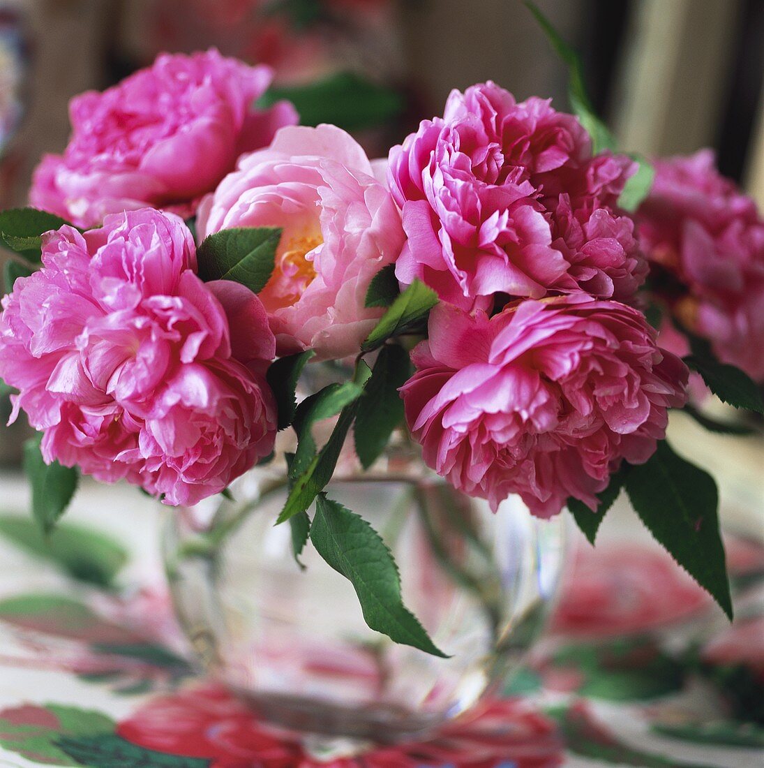 Pink peonies in round vase