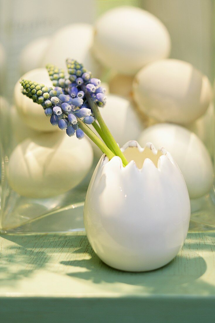 Easter decoration: grape hyacinths in a china egg