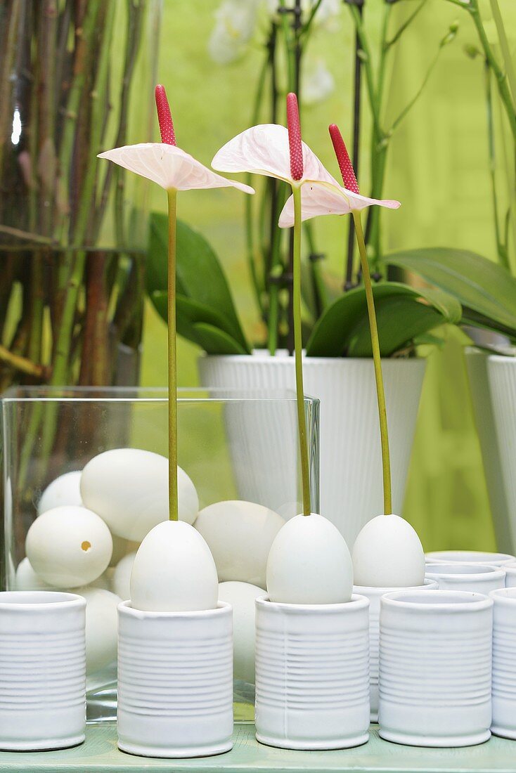 Osterdeko: Blumen in ausgeblasenen Eiern