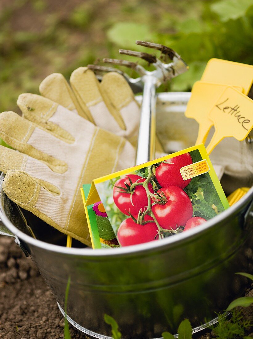 Gartenwerkzeug, Tomatensamen und Schilder im Metalleimer
