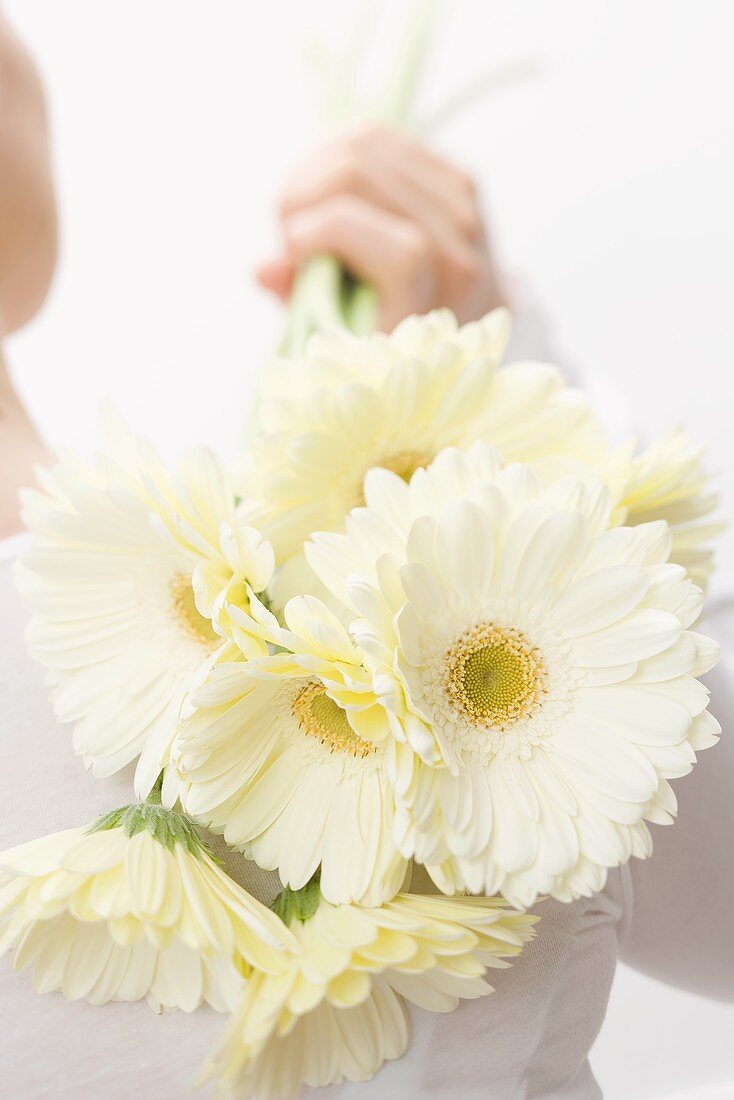 Frau hält weiße Gerbera