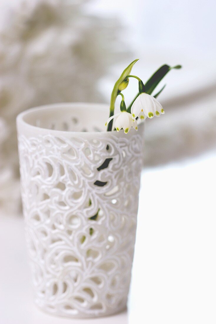 Frühlingsknotenblumen in weißem Becher