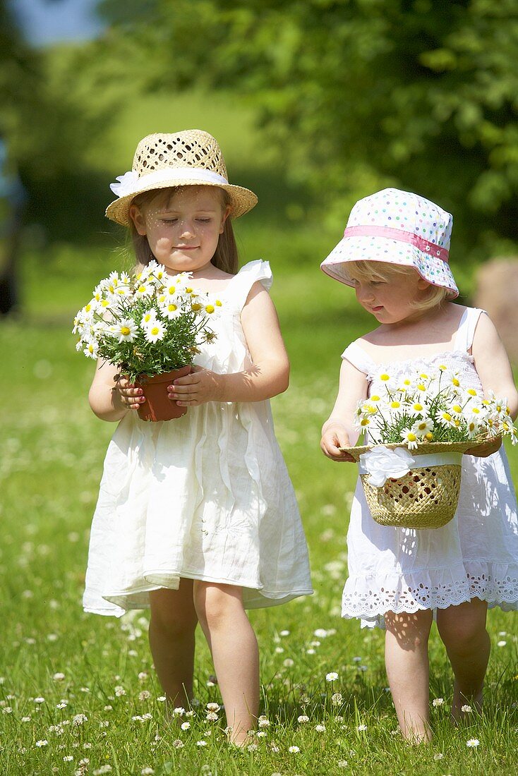 Zwei Mädchen mit Margeriten auf Sommerwiese
