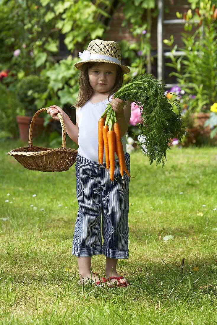 Kleines Mädchen hält Korb und Möhren im Garten