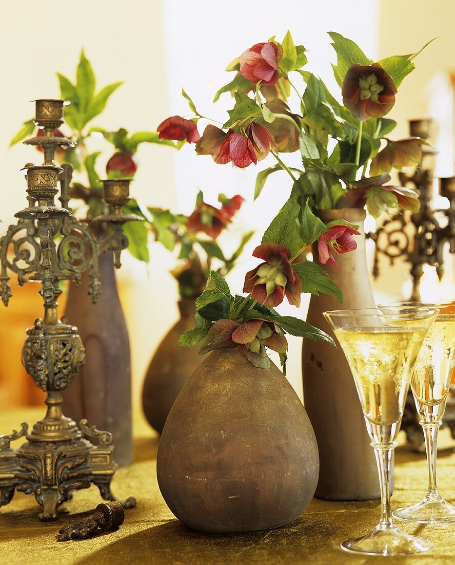 Lenzrosen, Weißwein und antiker Kerzenleuchter