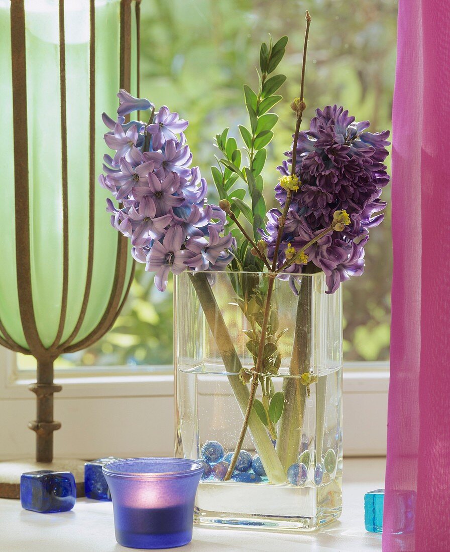 Hyacinths, box and dogwood in glass vase