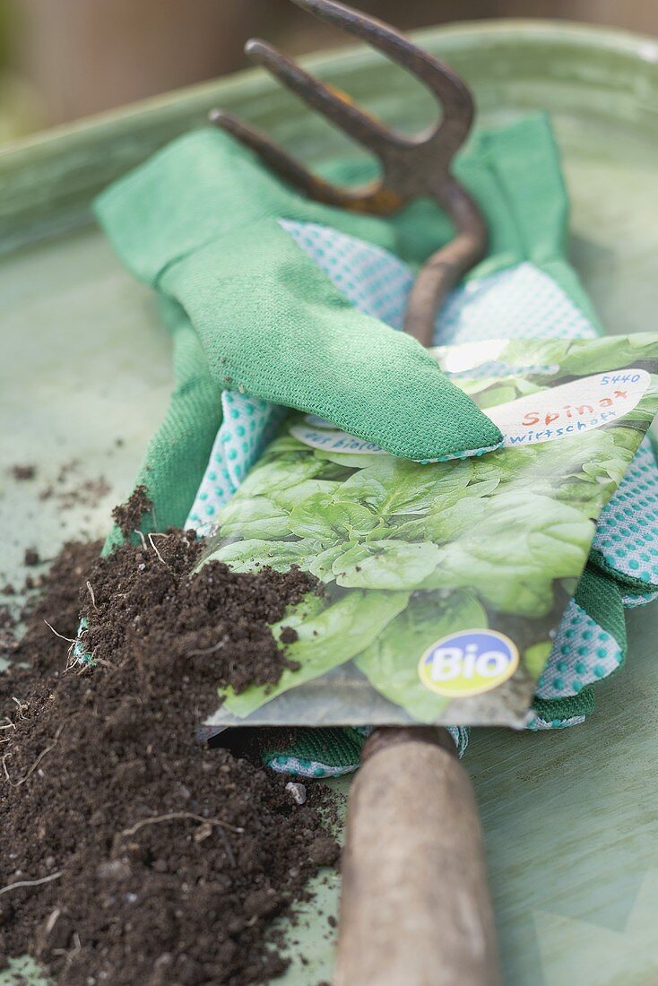 Packet of organic spinach seeds, garden tool, gloves, compost