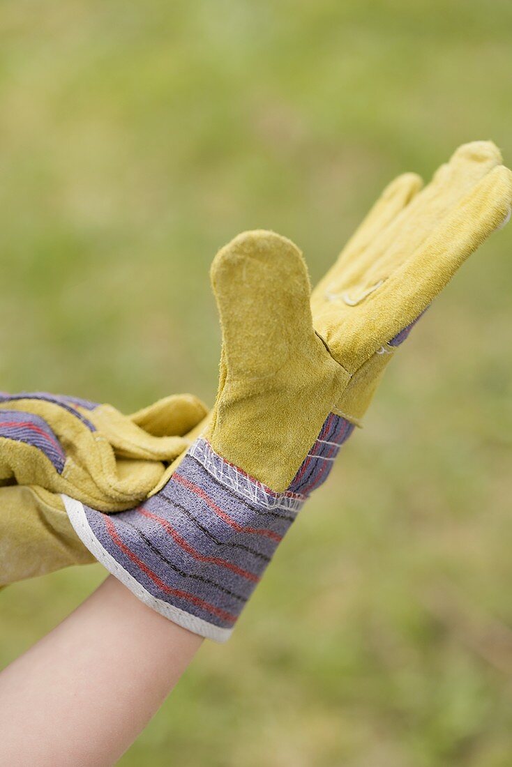 Hands in gardening gloves