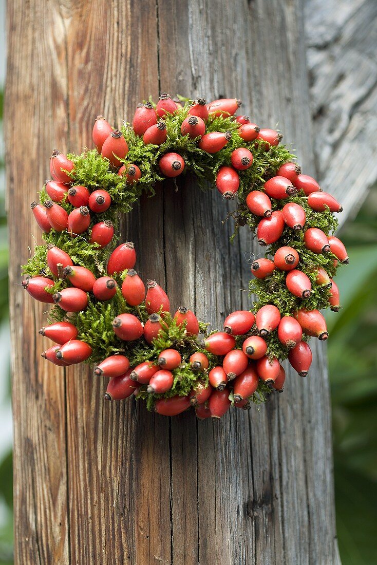 Wreath of moss and rose hips on a wooden post