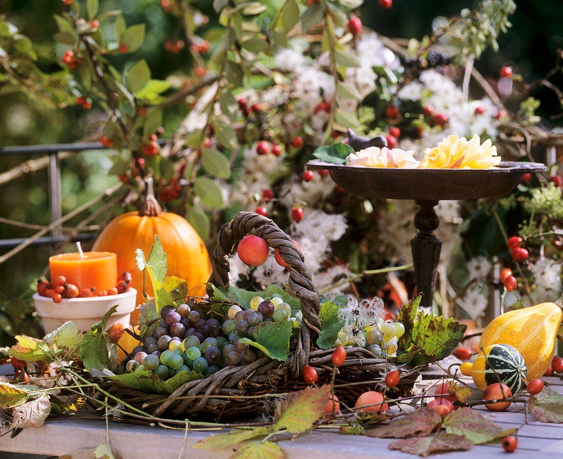 Herbstliche Tischdeko mit Weintrauben, Kürbis und Hagebutten