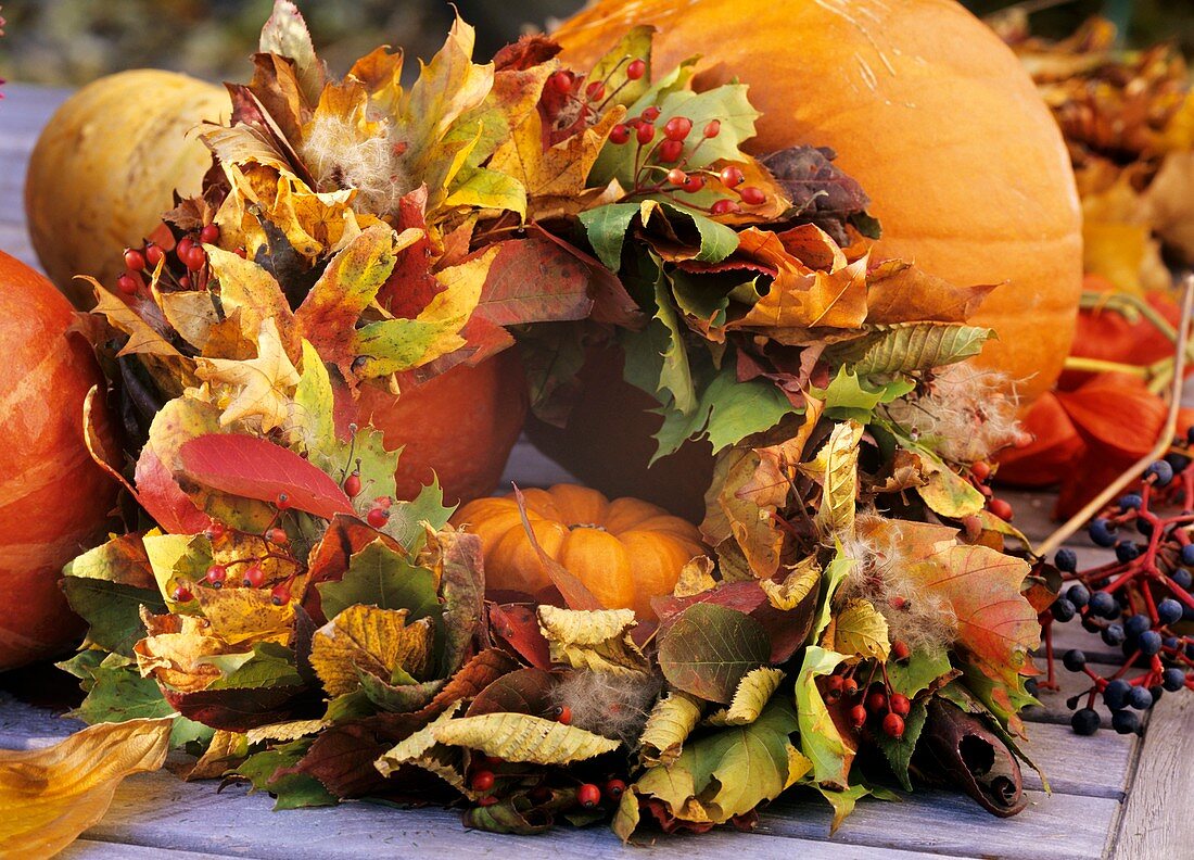 Wreath of autumn foliage: Acer, Liquidambar, Amelanchier