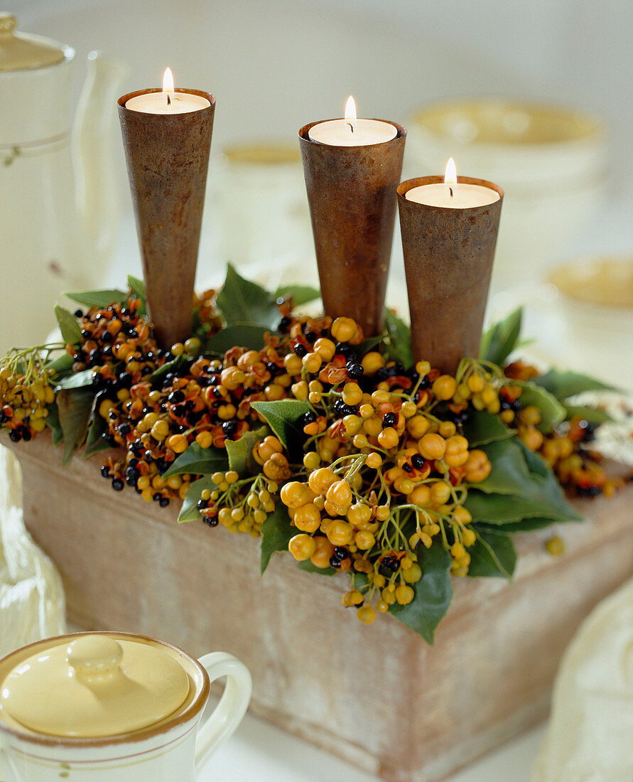 Baumwürger-Früchte mit Kerzen