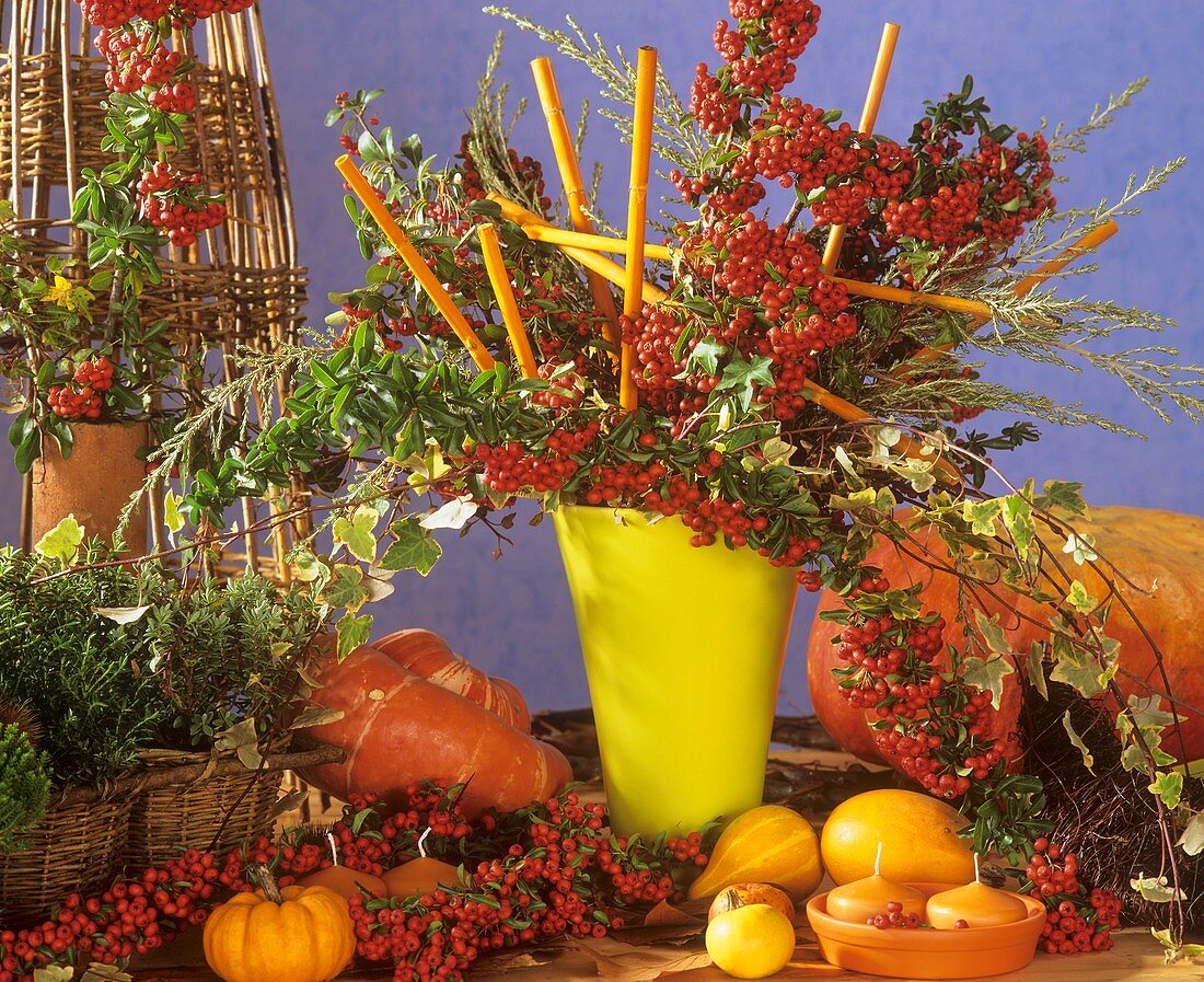 Autumnal decoration with firethorn and ornamental gourds