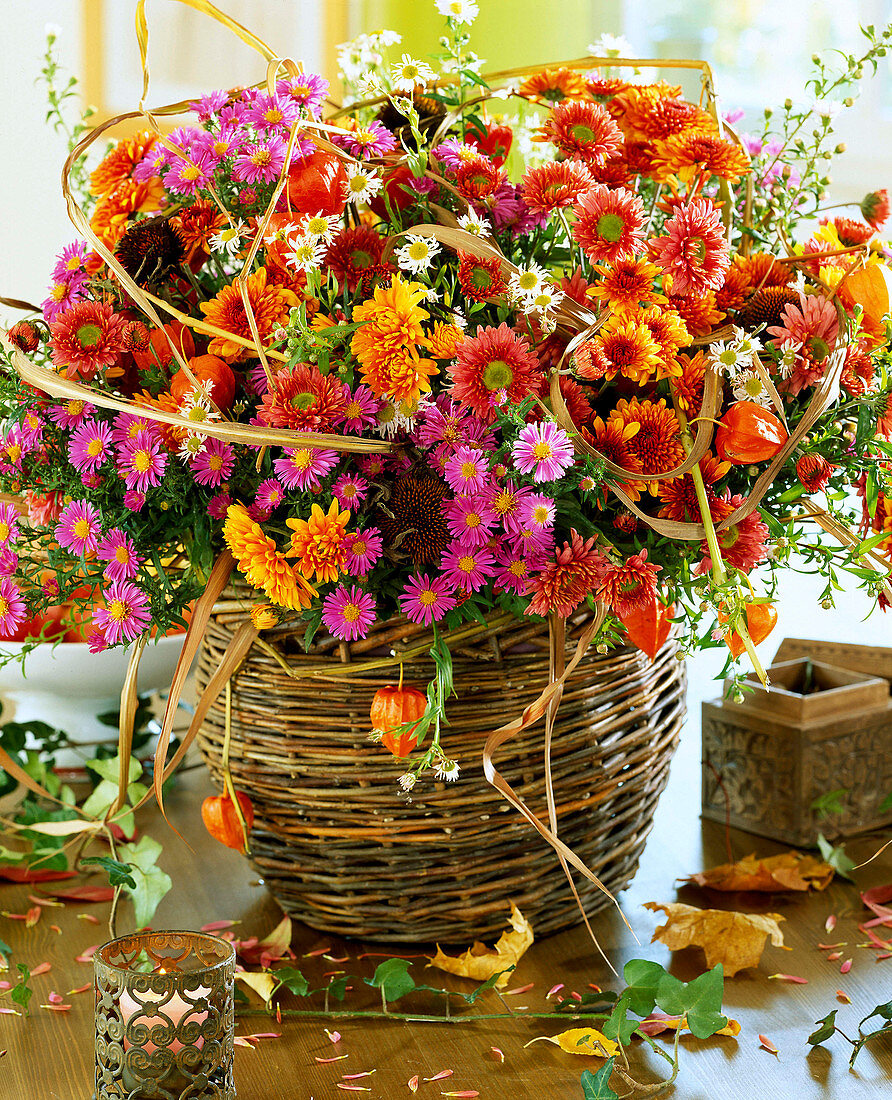 Chrysanthemums, Michaelmas daisies & Chinese lanterns in basket