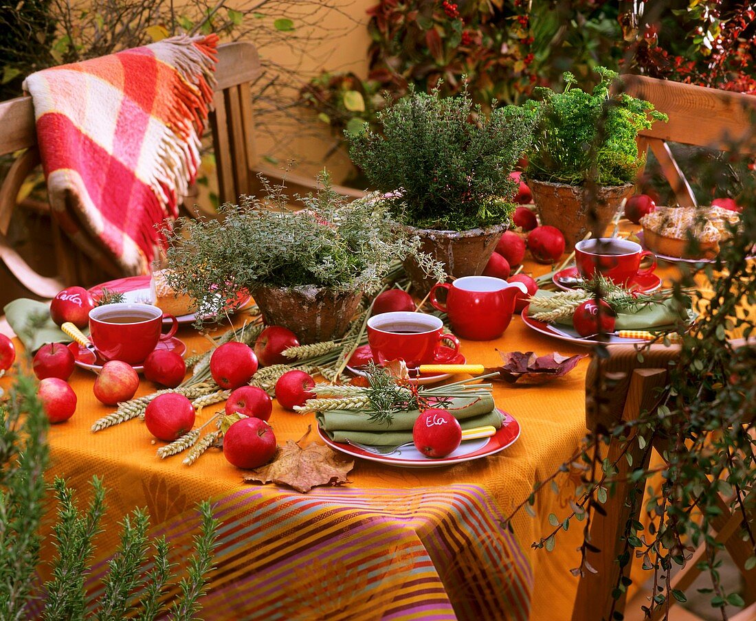 Tischdekoration mit Kräutern und Äpfeln