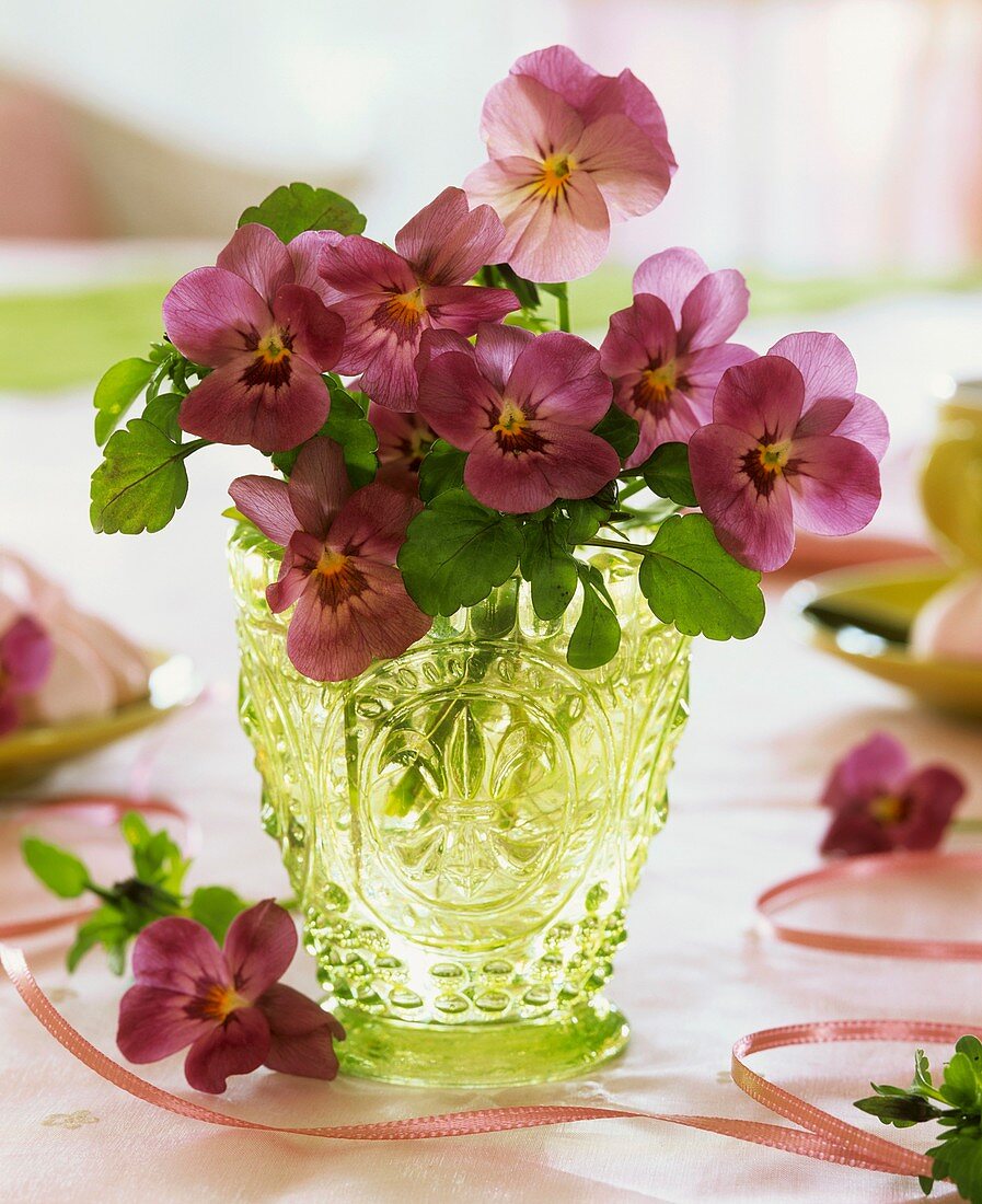 Horned violets in green glass vase