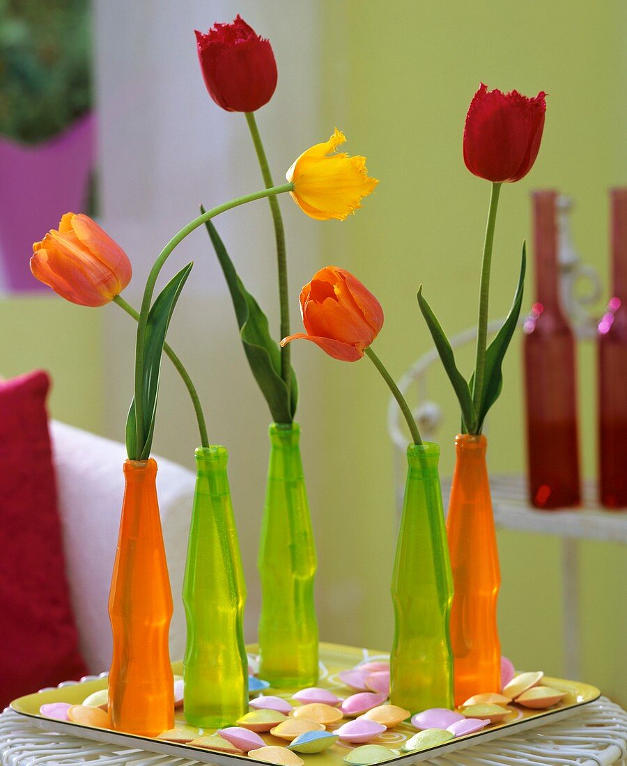 Tulips in plastic bottles & pastel-coloured flying saucers