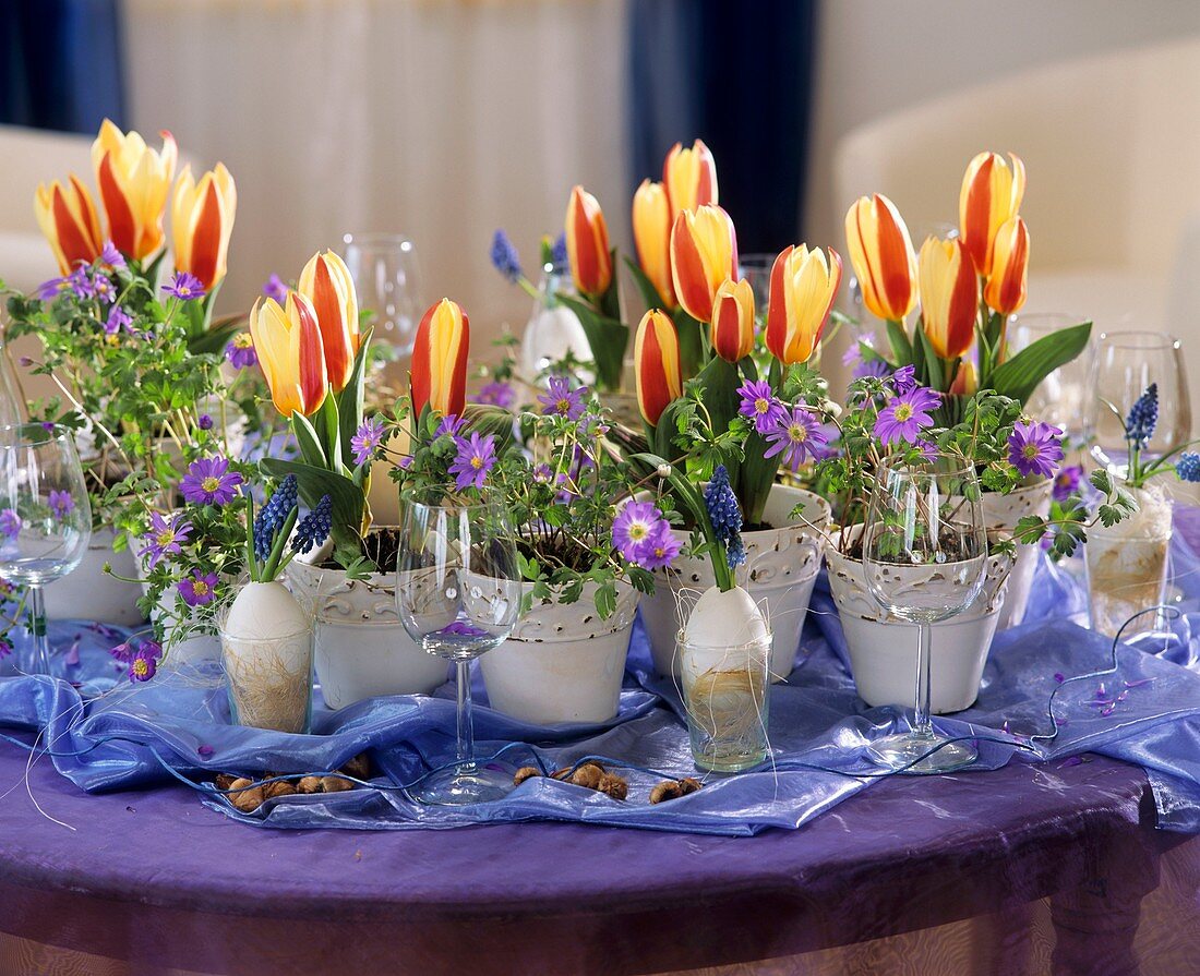 Österliche Tischdekoration mit Tulpen und Strahlen-Anemone